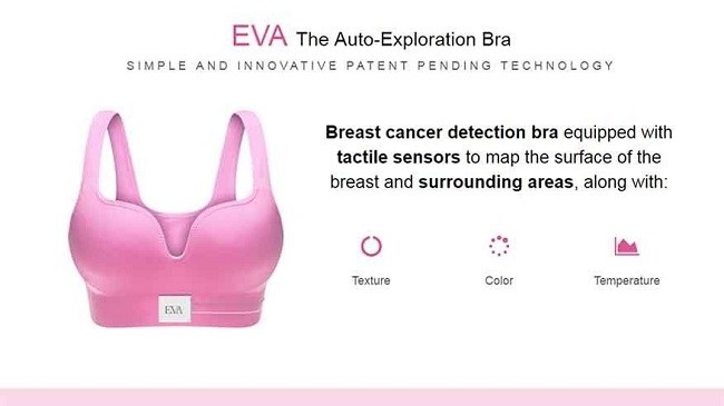 Auto Exploration Bra